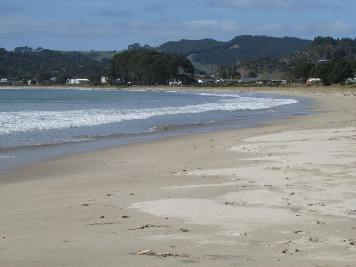 Flaxmill Cove B&B Whitianga Extérieur photo